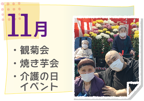 11月の活動イベント